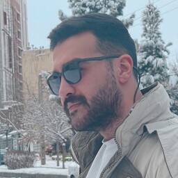 armin mamdooh