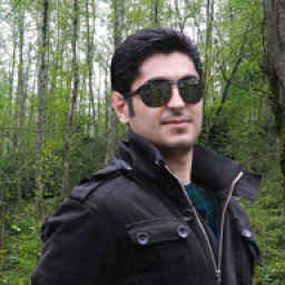 سیدعارف رضوی 