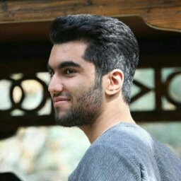 مهدی شریفی فرد