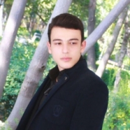 محمد جواد 