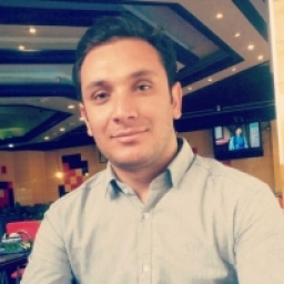 ali ghaemi 