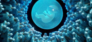 رزومه Armo Avanessian