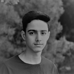 Mohammad Mahdi Shariati