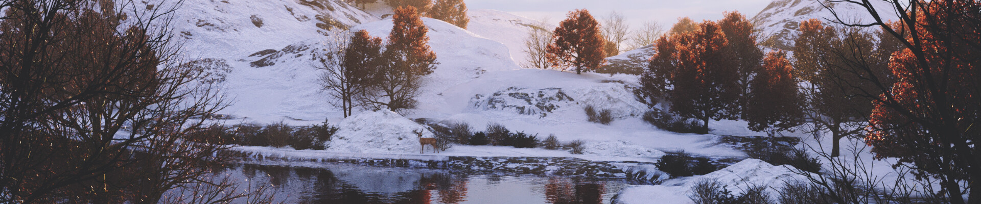 رزومه Alireza Khoshpayam