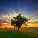 مهدی رضائیان