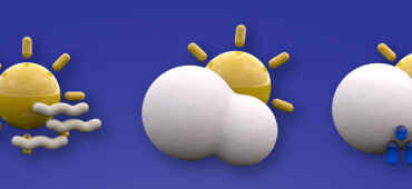 رزومه معین توکلی