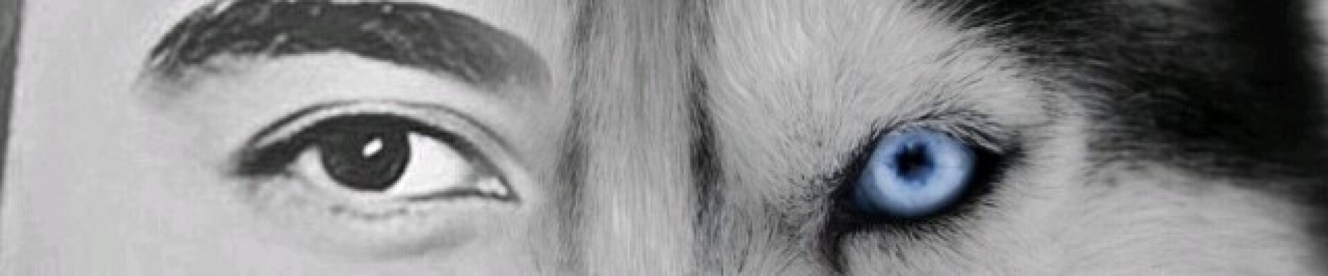 رزومه پژمان جون