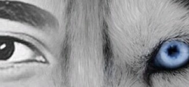 رزومه پژمان جون