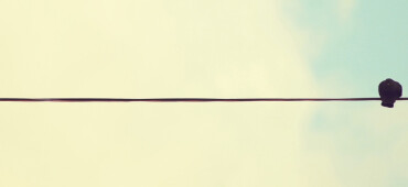 رزومه مجتبی موسوی