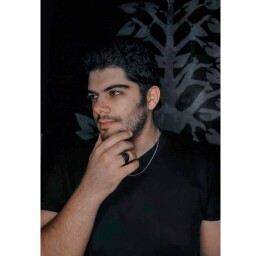 Ehsan Shohoudiafr