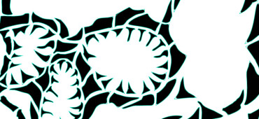 رزومه سامان افشار