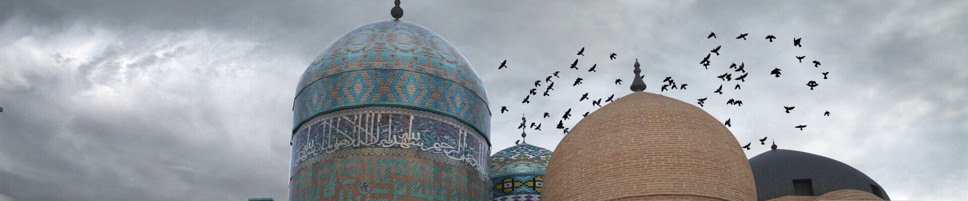 رزومه رضا رئیس زاده