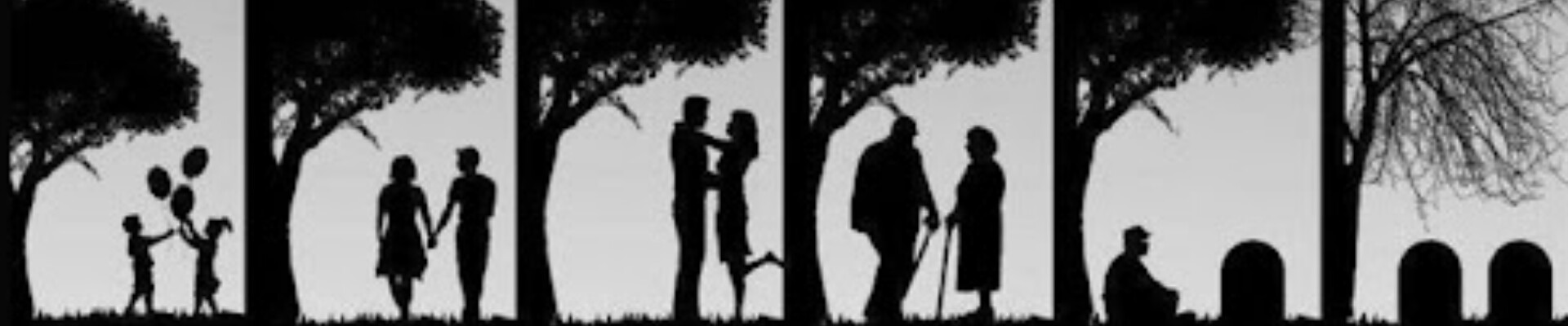 رزومه M Visuals