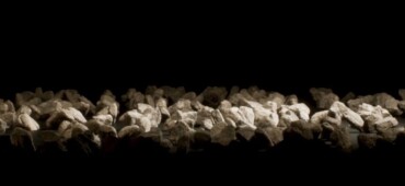 رزومه علی رحیم زاده