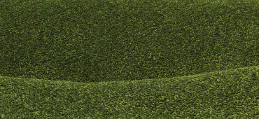 رزومه سالار زینت الدینی