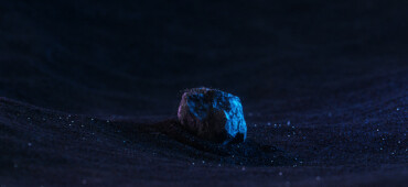 رزومه Reza Ansari