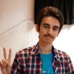 Sina Karimi 