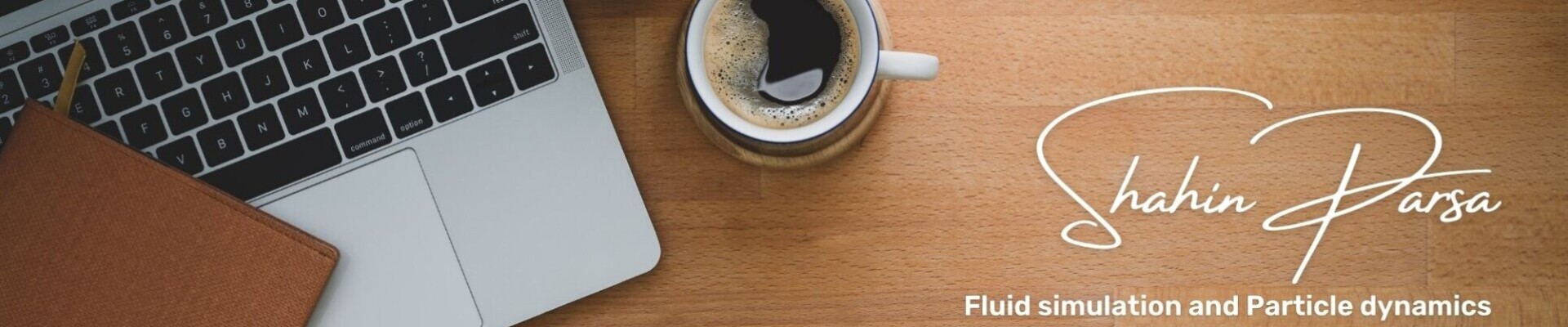 رزومه شاهین پارسا