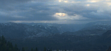 رزومه دانیال نجفی