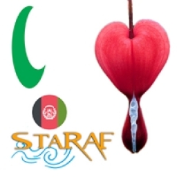 staraf 