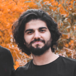 علیرضا روایی