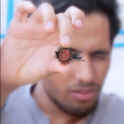 arashsfidrooz 
