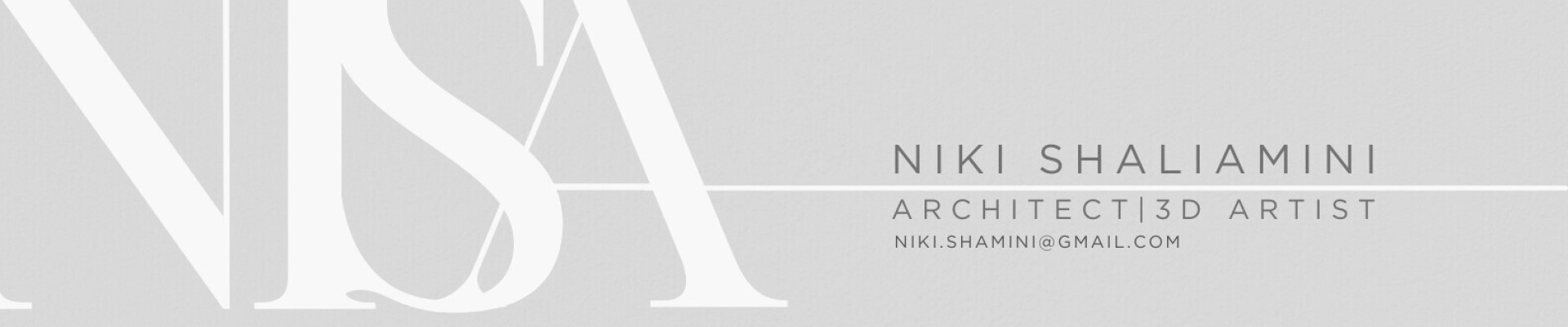 رزومه Niki Amini