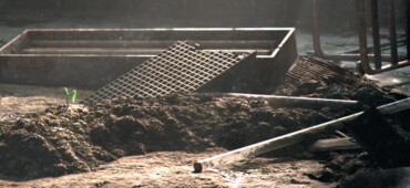 رزومه سهیل صادقی