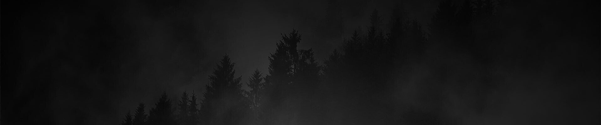 رزومه پارسا طاهری