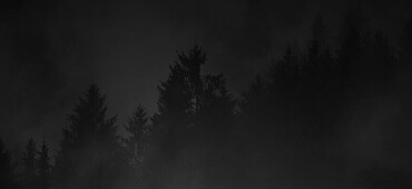 رزومه پارسا طاهری