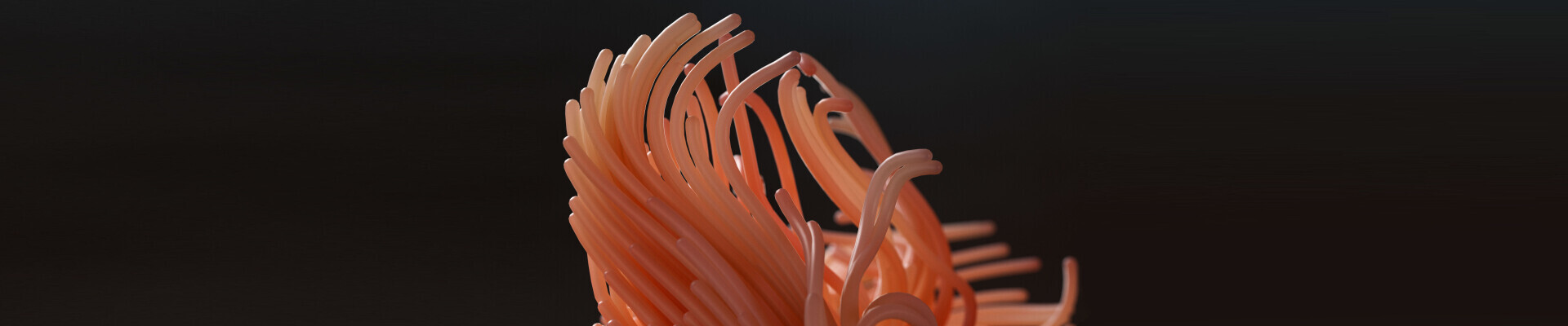 رزومه Mohammadreza Mohammadi