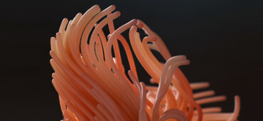 رزومه Mohammadreza Mohammadi