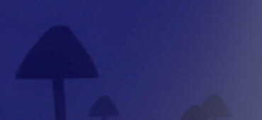 رزومه Ahmad Hesami