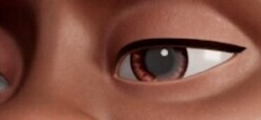 رزومه Porya Moattari