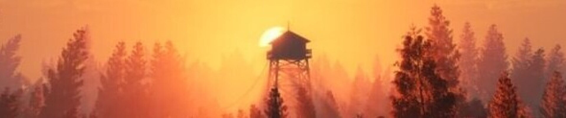 رزومه Arash Asef