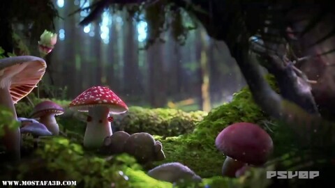 ویدیوی Arnold Showreel January 2013