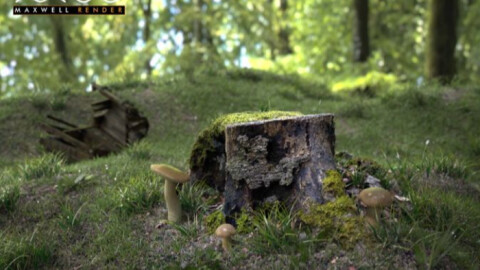 ویدئو Showreel 2013 موتور رندرینگ Maxwell Render