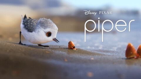 انیمیشن کوتاه Piper