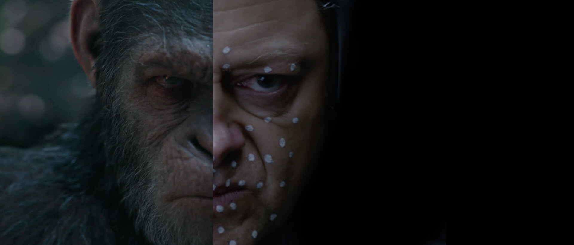 حیوانات سخنگو در دنیای VFX